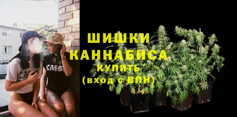 дарнет шоп  Грязовец  Бошки марихуана SATIVA & INDICA 